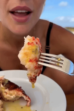 Maine Lobster Tail – Succulent Seafood Favorite with Rich Flavor & Premium Quality-Zane